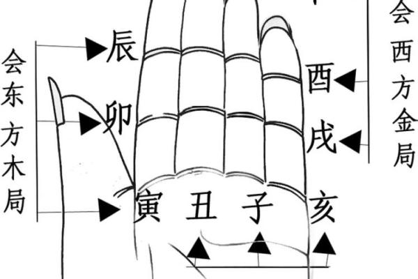 从风水角度看十二地支的方位作用
