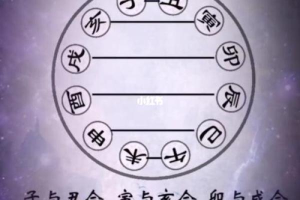 地支破解析：命理中的破格现象及其影响解析