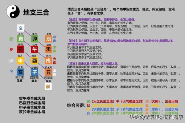 地支相合对婚姻与事业的影响解析