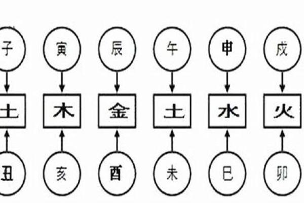 地支相合对婚姻与事业的影响解析