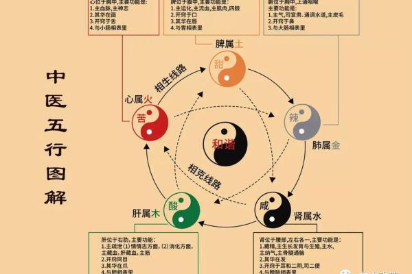 从十二地支看一日的时光流转