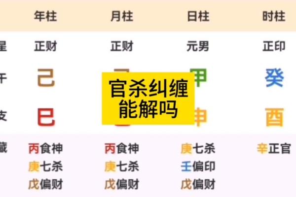 地支官杀之争：如何破解命运中的官杀冲突