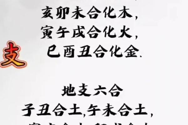地支方位与命理学的深层关系解析