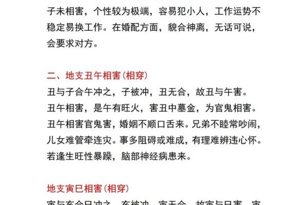 地支午未合的意义与应用解析