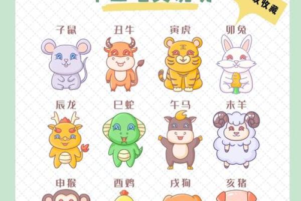 地支的种类和排列方式全面介绍