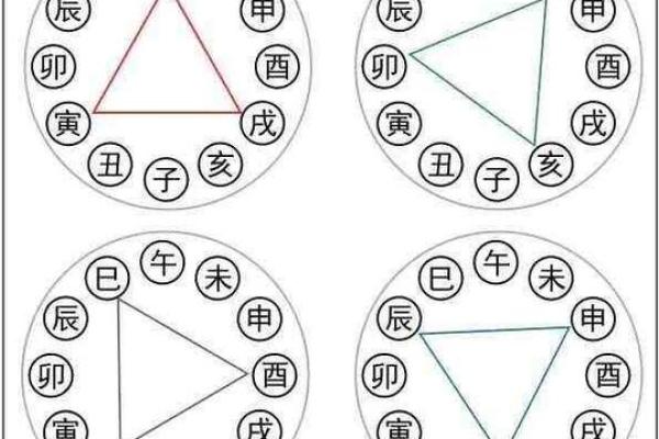 地支三合三会与命运的深刻关系