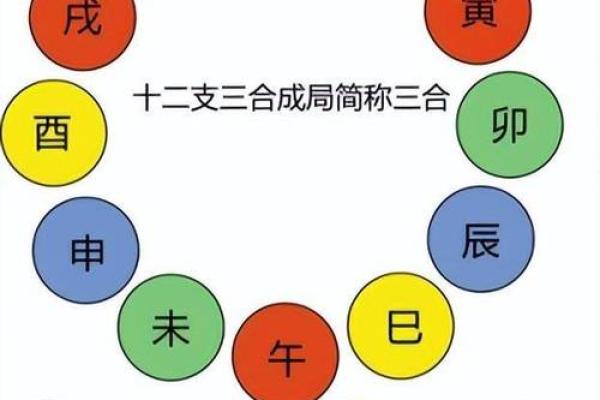 地支如何克制天干的五行关系解析