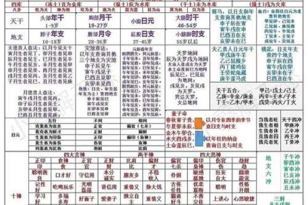 大运地支在命理中的重要性与解析