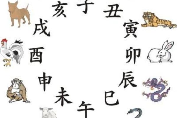 地支巳的象征意义与命理解析