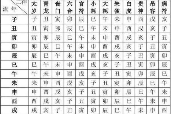 地支巳的象征意义与命理解析