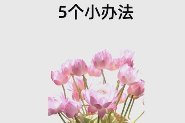 改善卧室窗户风水的小妙招，让财运更旺