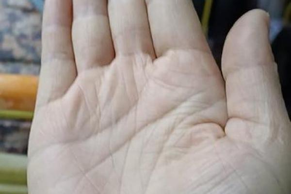 莫香港手相宝典:揭秘命运的秘密之门 莫香港手相宝典:揭秘命运的秘密之门