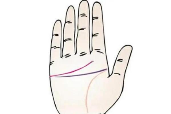 手相面相揭秘:命运密码,一眼看穿! 手相面相揭秘:命运密码,一眼看穿!