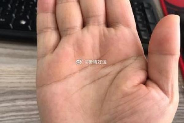 指尖透露天机,揭秘食指天眼手相之谜 指尖透露天机,揭秘食指天眼手相之谜