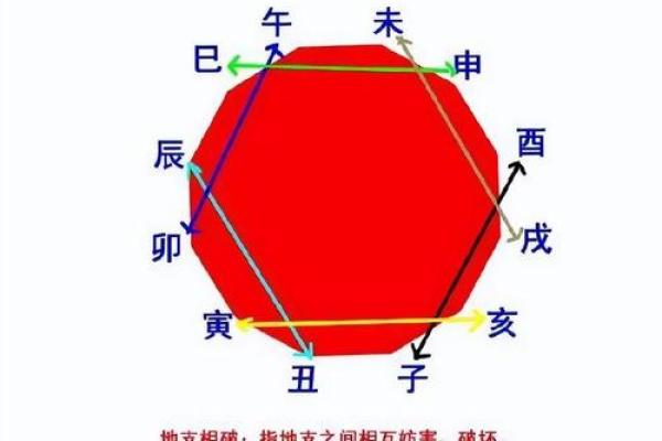 地支阴阳对性格特点的塑造分析