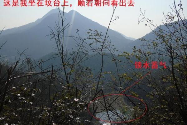 惠州墓园风水布局：揭秘千年风水秘籍，助力家族兴旺