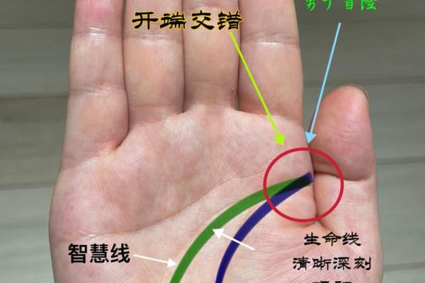 手相奥秘大公开:轻松看手相,解码你的命运之谜 手相奥秘大公开:轻松看手相,解码你的命运之谜