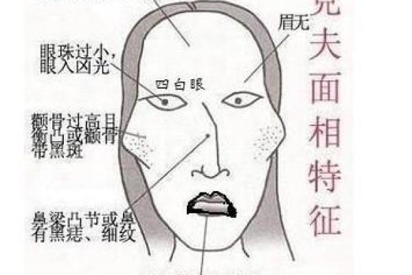 眼袋线揭秘：透视面相中的睡眠负债