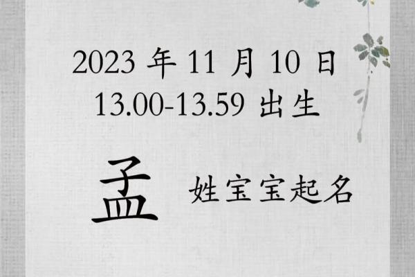 孟氏起名指南：创意与传统的完美融吿