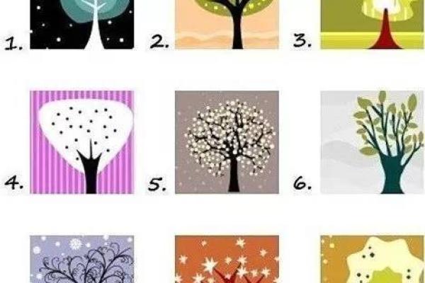 小指长度揭秘：运势与性格的神奇密码