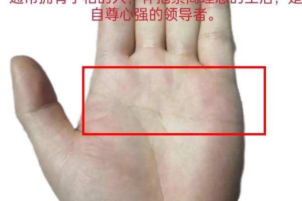 指尖间的宇宙秘密:手相哲学探秘 指尖间的宇宙秘密:手相哲学探秘