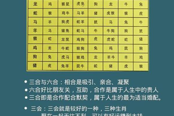 地支相冲与命运的关系解读