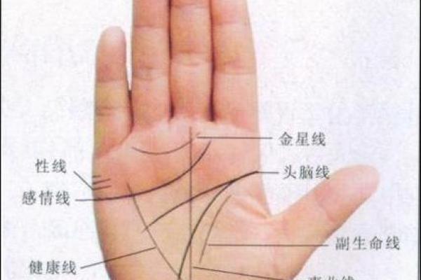 手相中的胃病信号:一招教你辨析健康隐患 手相中的胃病信号:一招教你辨析健康隐患