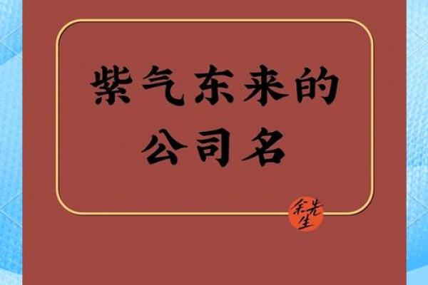 公司名称大全：富有创意与寓意的名称建议