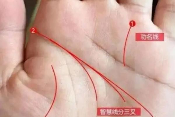 手相揭秘:如何一眼看出你的社交魅力指数 手相揭秘:如何一眼看出你的社交魅力指数