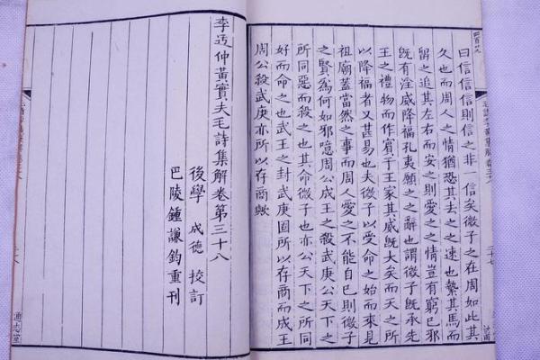 力政策命名，探寻姓名运势的奥秘之光