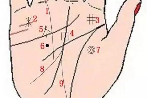 手相面相大揭秘,轻松读懂命运之谜! 手相面相大揭秘,轻松读懂命运之谜!