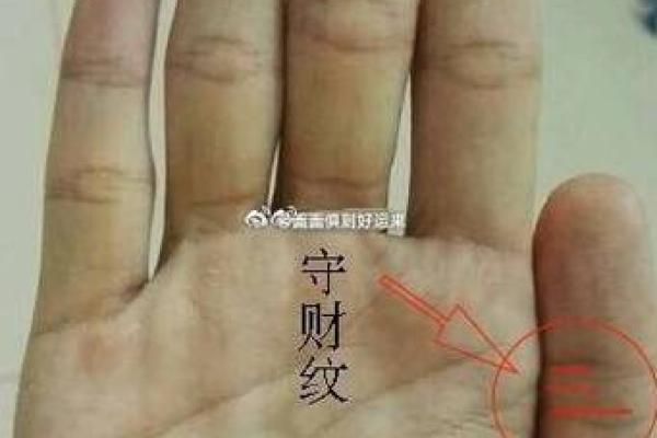 左手手相大揭秘:一招看穿你的事业财运! 左手手相大揭秘:一招看穿你的事业财运!