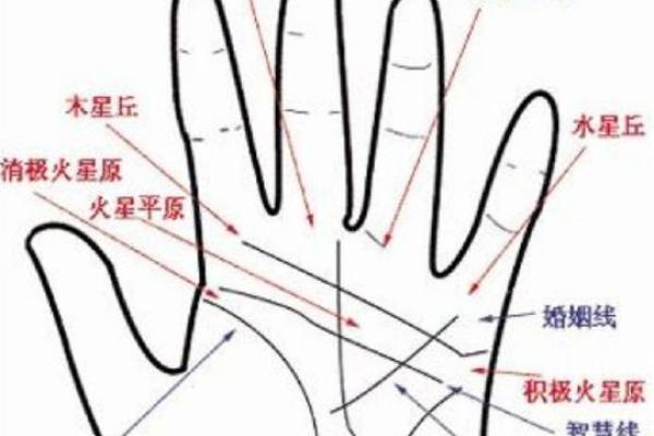 左手手相大揭秘:一招看穿你的事业财运! 左手手相大揭秘:一招看穿你的事业财运!