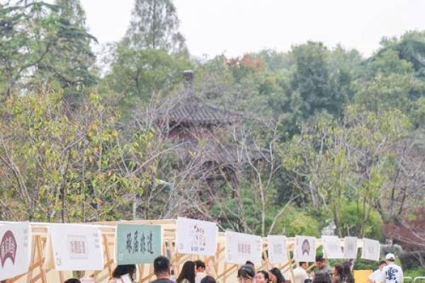 2盛会，传承非遗魅力