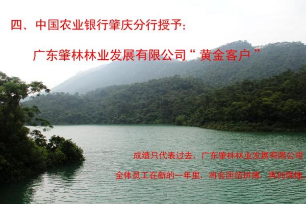 林业农业公司命名技巧与创意建议