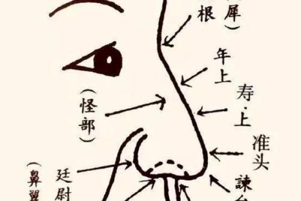 面相解析：眉骨高低如何影响女性的命运与性格