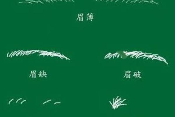 面相解析：眉骨高低如何影响女性的命运与性格