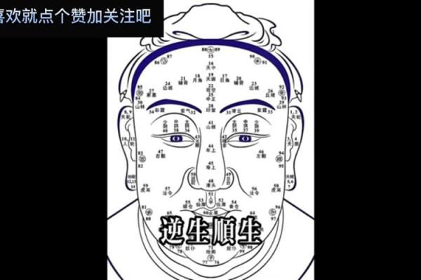 面相奥秘：右脑视角下的五官解读