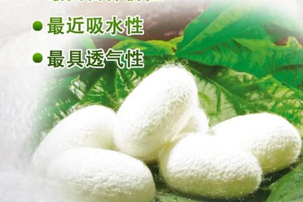 蚕丝文化：千年传承与中国传统技艺的完美融合
