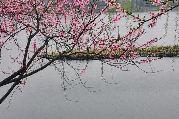 春暖花开，共庆三月二十一——传统节日民俗探秘
