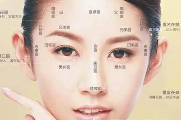 一眼看穿，揭秘面相中的奥秘！