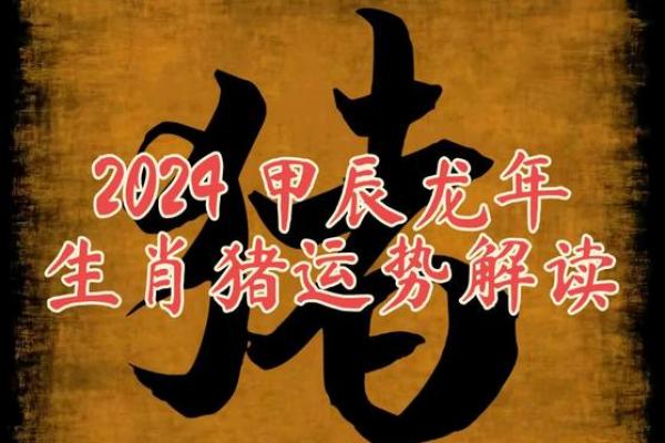 猪年运势大爆发2021年属猪的你，运势逆天翻盘