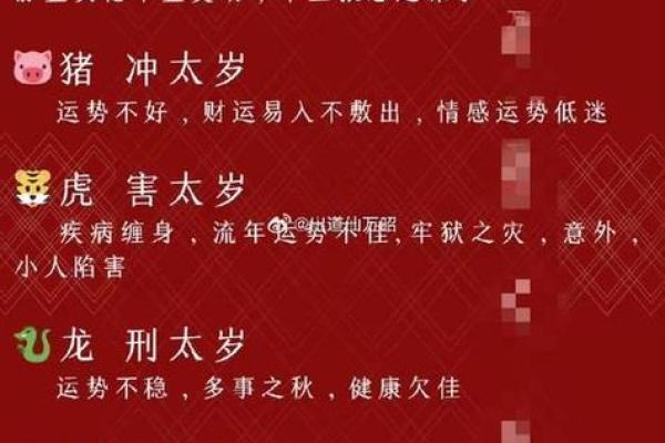 猪年运势大爆发2021年属猪的你，运势逆天翻盘