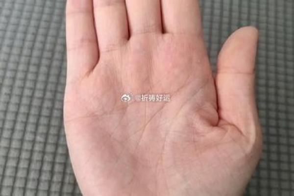 一手掌握运势，手相解读让你运势亨通！