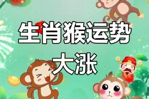 牛年猴运，财运亨通，事业腾飞，爆款运势来袭