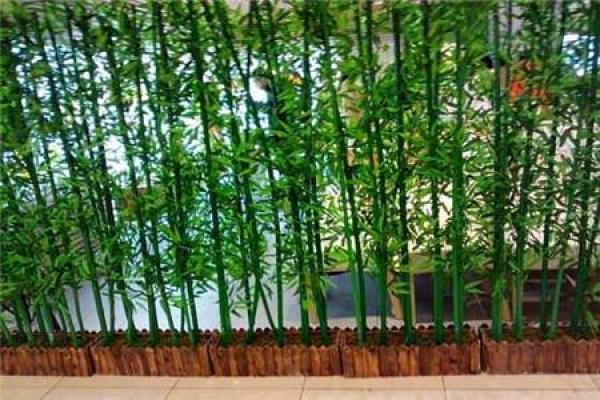 风水专家解析：为何进门放竹叶能带来好运