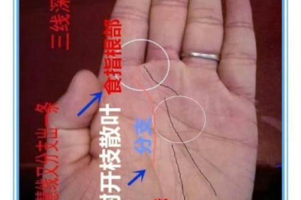 手相塔骨解析：掌握运势的神奇法则