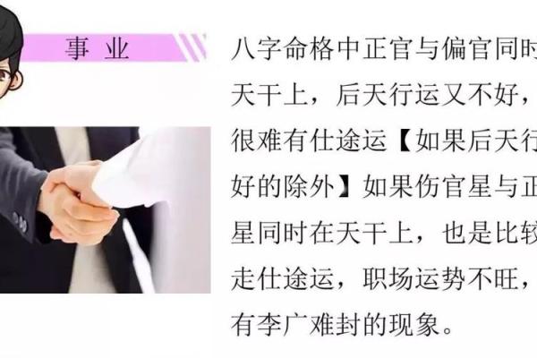 莲花命理揭秘：你的命运之花绽放何时？