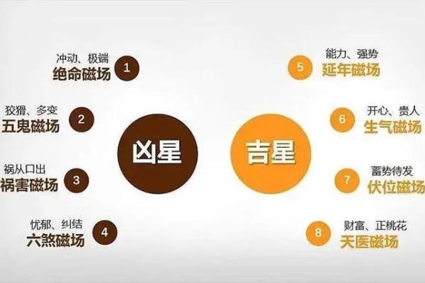 独家揭秘：如何布置铺面风水，轻松转运招财？