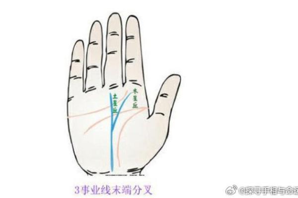 手相中的爪子纹:财运亨通的秘密通道 手相中的爪子纹:财运亨通的秘密通道